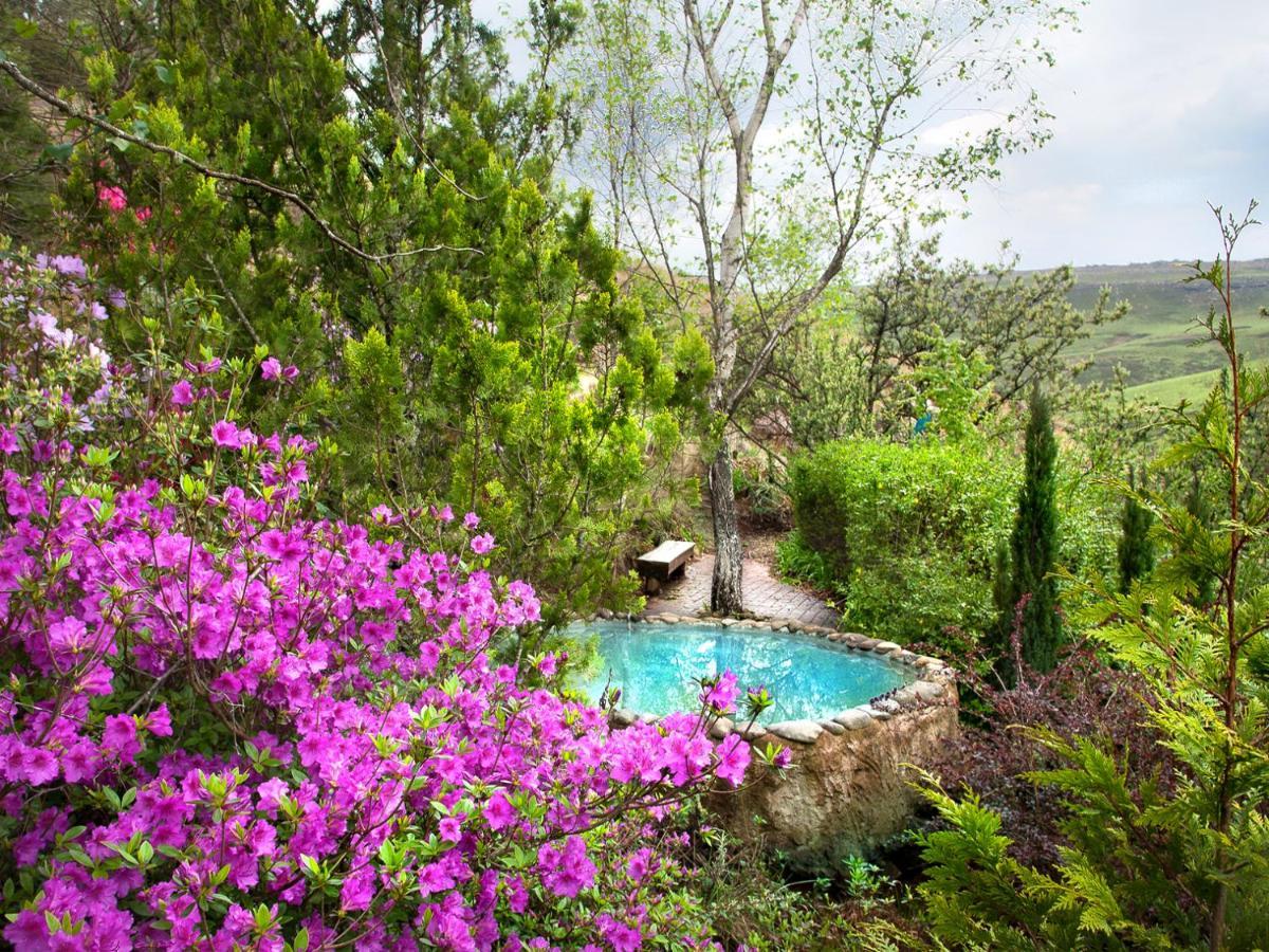 Birches Cottage & The Willows Garden Room Underberg Exterior foto