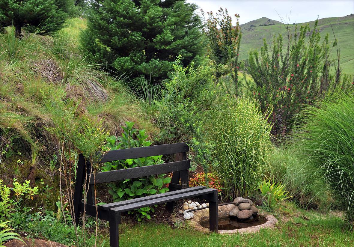 Birches Cottage & The Willows Garden Room Underberg Exterior foto